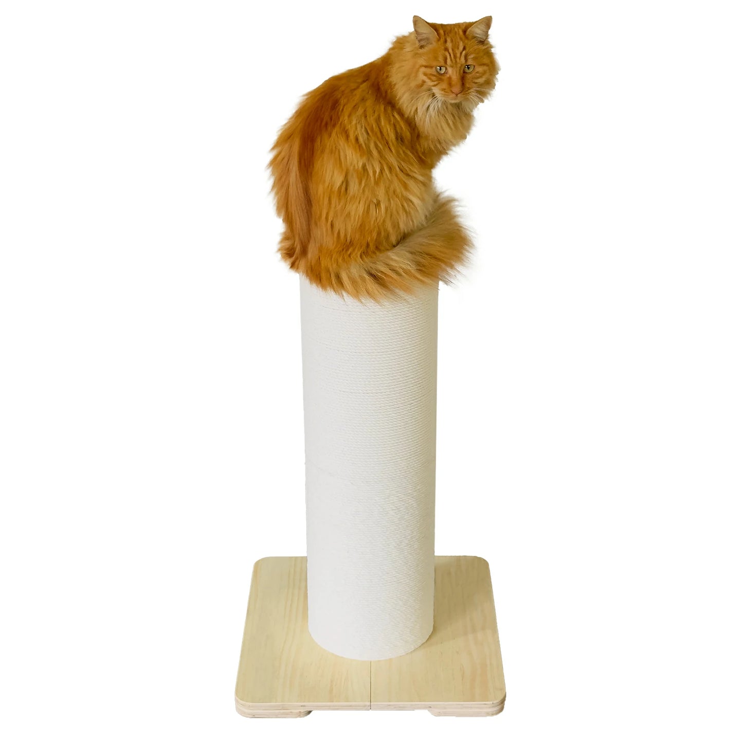 7.87" Thick Cat Scratching Post (Storage Design)