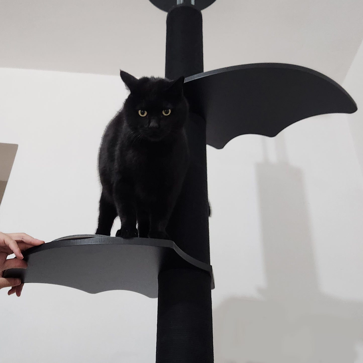 Spooky Gothic Style Cat Trees Floor-to-Ceiling