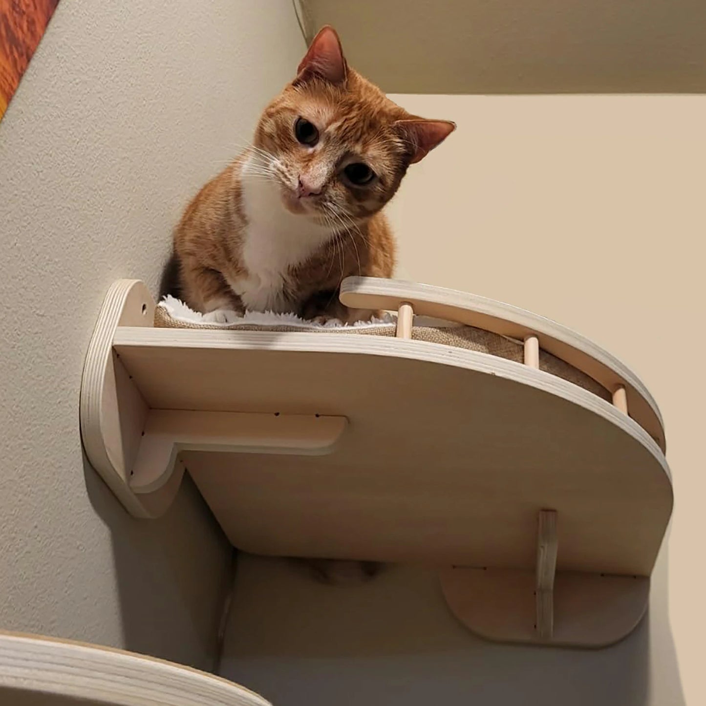 Cat Wall Shelves (Corner)