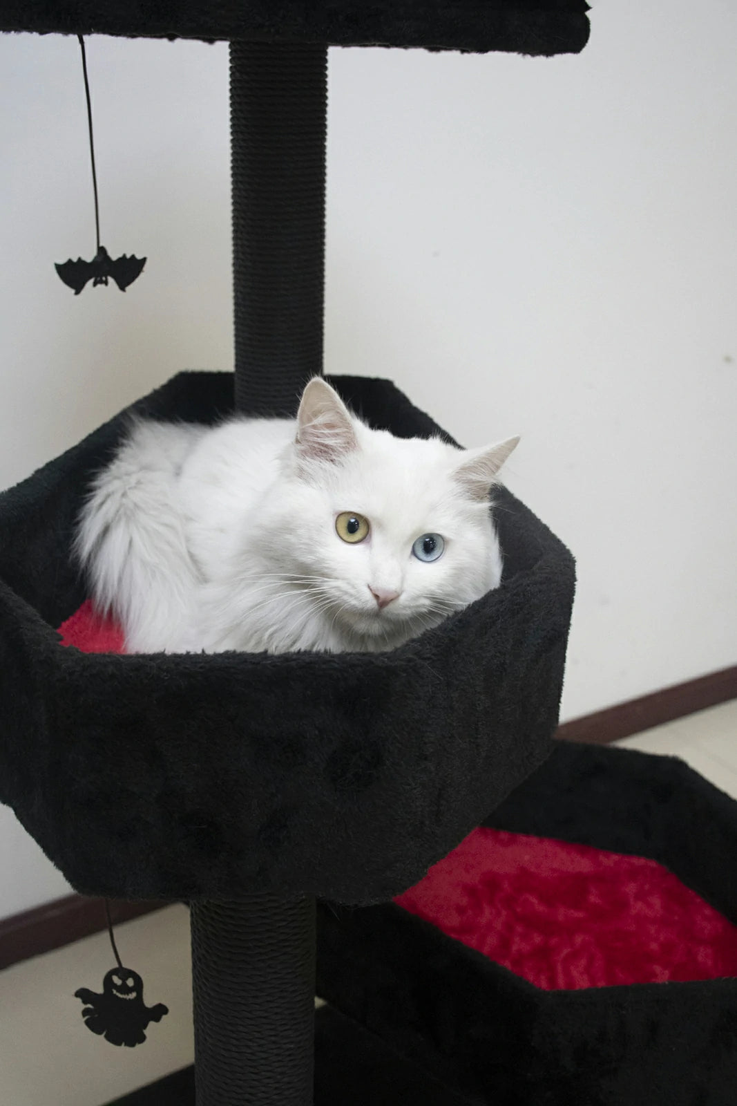 48" Tall Black Gothic Style Cat Tree